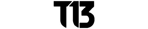 T13